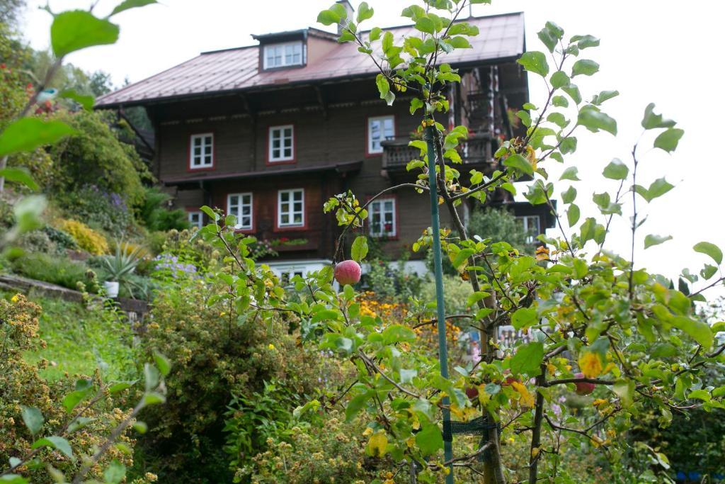 Landhaus Alpina Guest House Mittersill Exterior photo